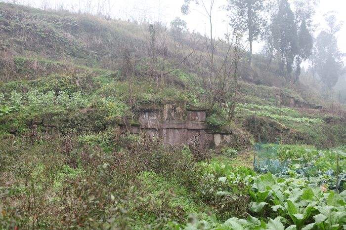 「坟墓风水」怎么看祖坟风水，风水大师指点风水宝地