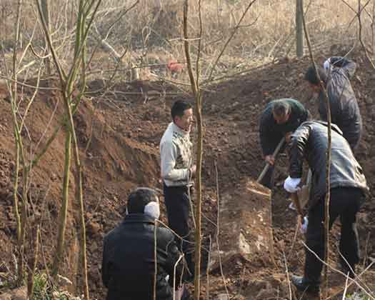 迁坟九大注意事项